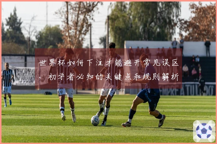 世界杯如何下注才能避开常见误区，初学者必知的关键点和规则解析