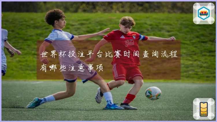 世界杯投注平台比赛时间查询流程有哪些注意事项