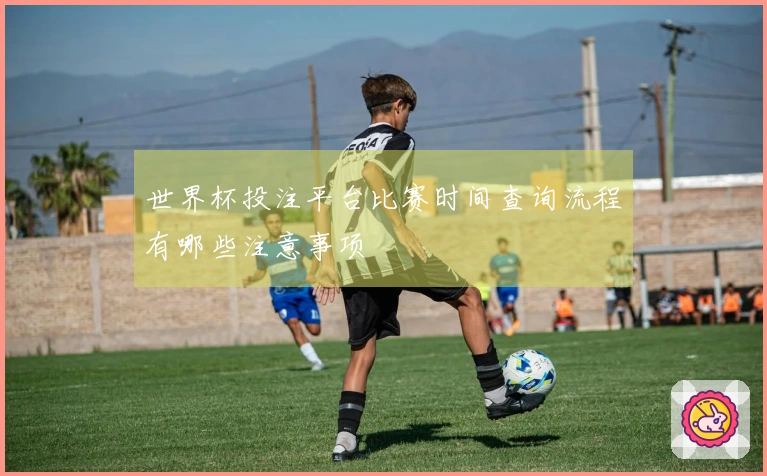 世界杯投注平台比赛时间查询流程有哪些注意事项