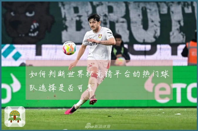 如何判断世界杯竞猜平台的热门球队选择是否可靠