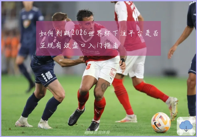 如何判断2026世界杯下注平台是否正规有效盘口入门指南