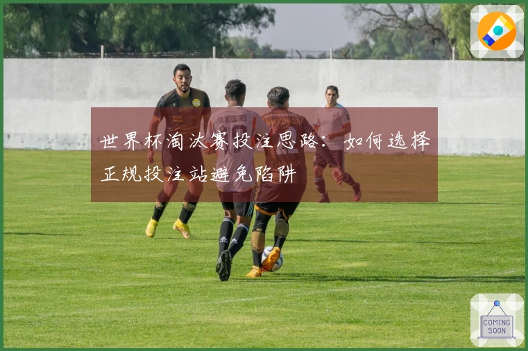 世界杯淘汰赛投注思路：如何选择正规投注站避免陷阱