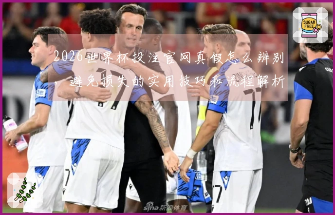 2026世界杯投注官网真假怎么辨别，避免损失的实用技巧和流程解析
