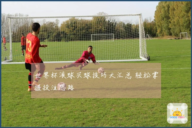 世界杯滚球买球技巧大汇总 轻松掌握投注思路